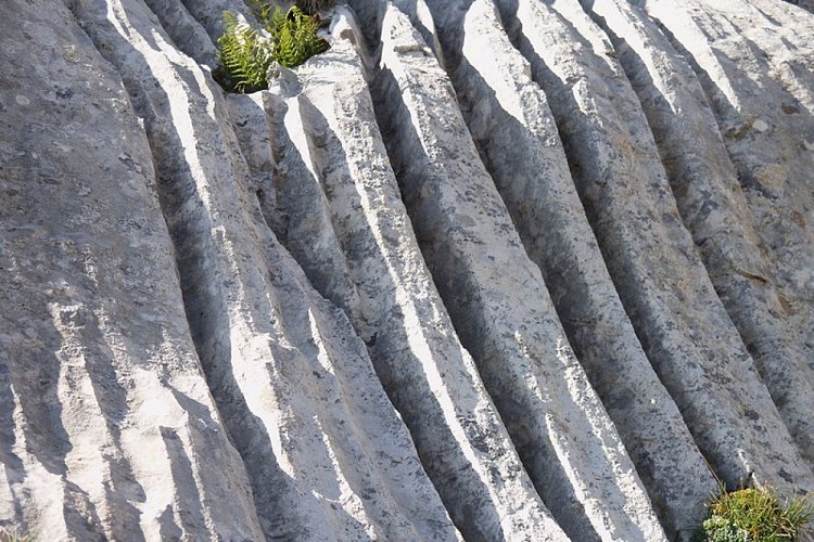 Fenomeni erosivi su rocce calcaree