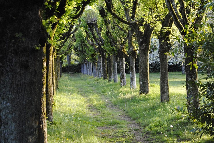 french castle bed and breakfast