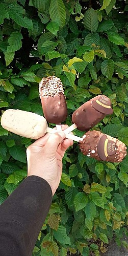 350512232_1266690014053661_2832119680849889617_n