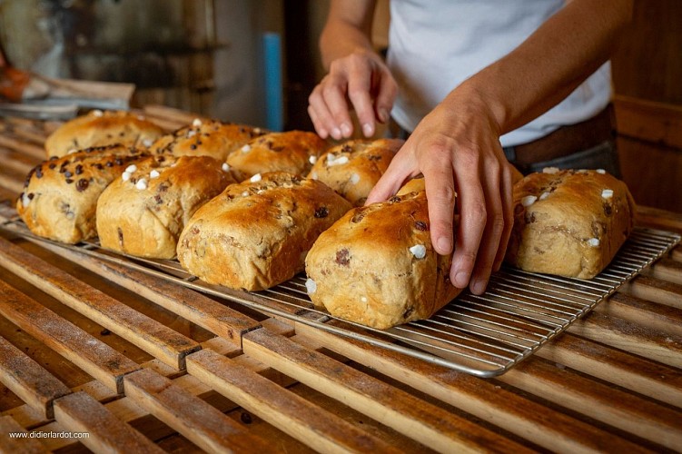 501292040_1010592981055849_126660770431182844_n