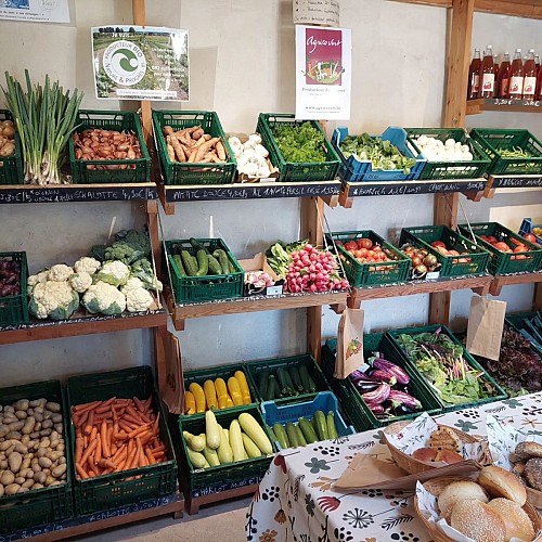 489731362_1145937510670818_4049207294376960977_n