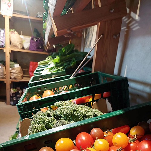 489849251_1148548730409696_2854556365084083989_n