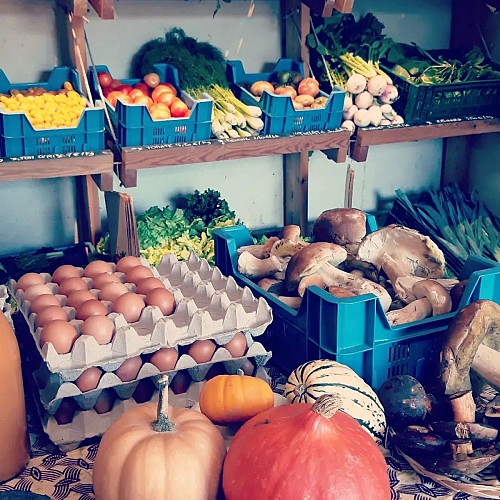 480817387_1115689543695615_7761866132129065685_n