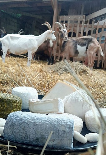 465993086_1068524321947813_7799061172027130733_n