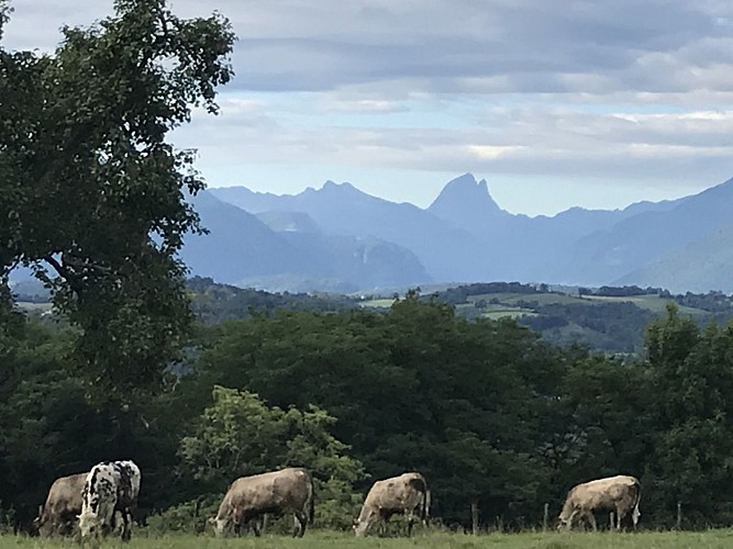Point du vue sur les Pyrénées et le Pic du midi d'Ossau