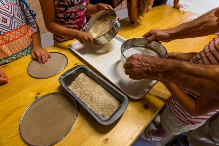 Flour mill museum