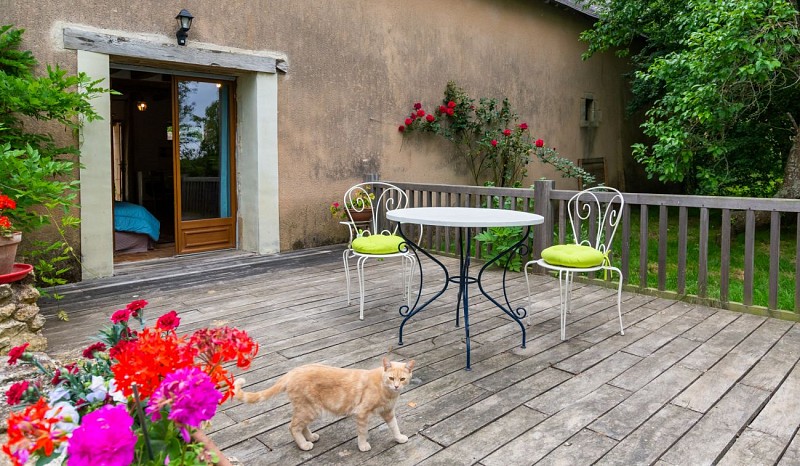 Studio Campagne - Terrasse