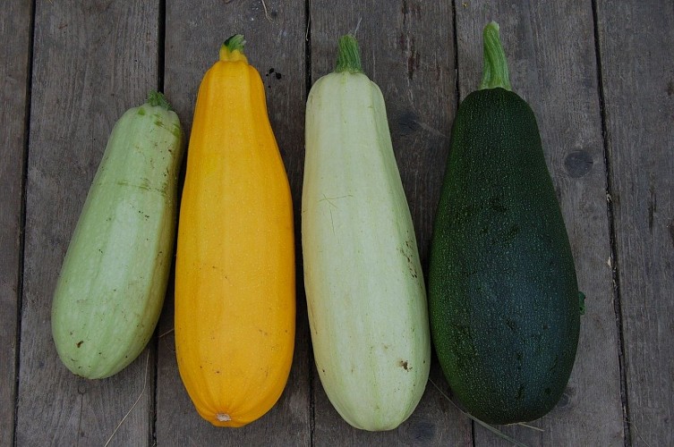 Légumes plein champ - Jean-Luc Mourgaud