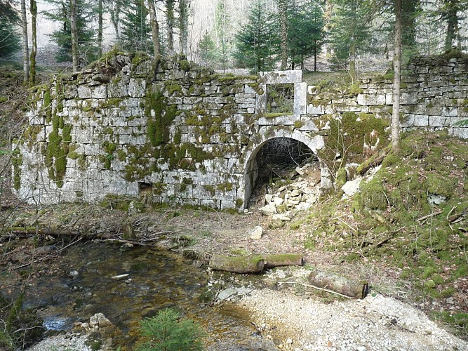 Ruines de la Chartreuse de Meyriat