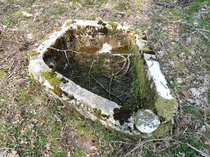 Ruines de la Chartreuse de Meyriat