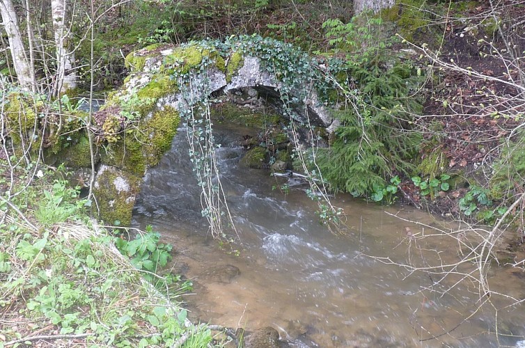 Ruines de la Chartreuse de Meyriat