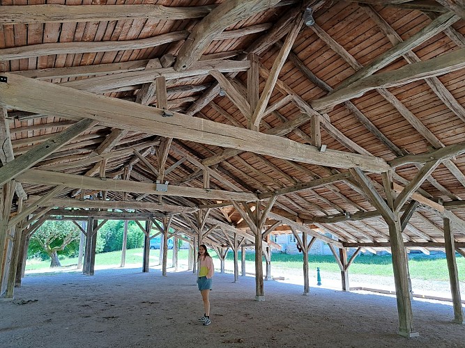 Carronnière de Mollardoury