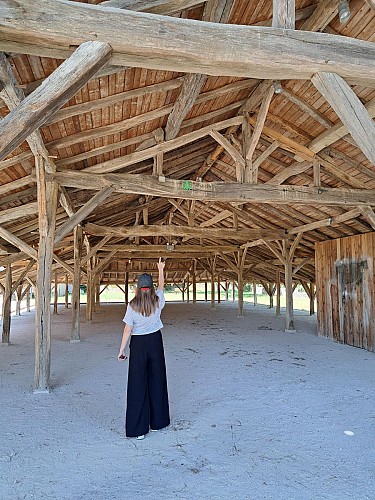 Carronnière de Mollardoury