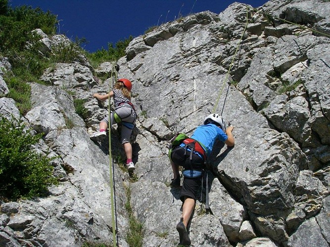 Site naturel " La clairière des petits lapins"