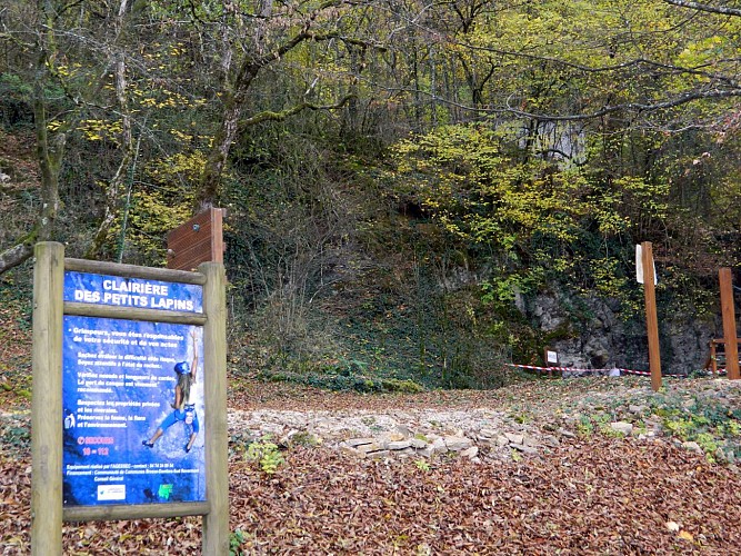 Site naturel " La clairière des petits lapins"