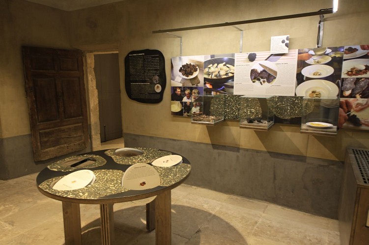 Museo de la Trufa y del Vino