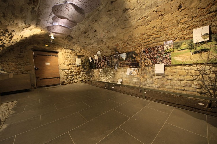 Truffel- en wijnmuseum