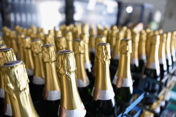 Le coteau du Môle - Cave Gantin