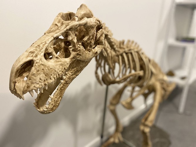 ESCAPE GAME AIZ'PACE TEMPS