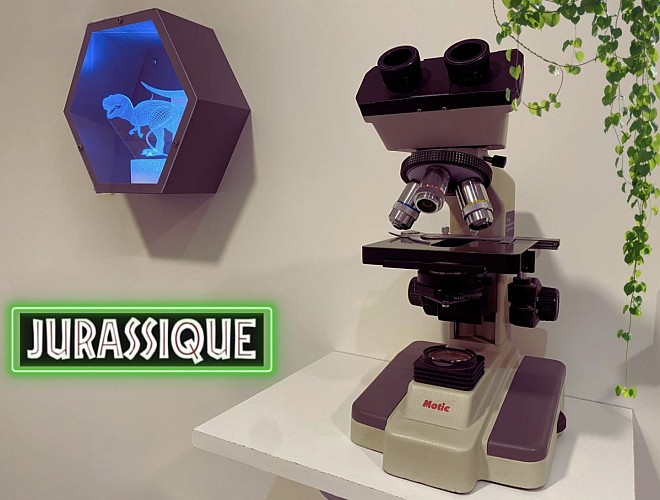 ESCAPE GAME AIZ'PACE TEMPS