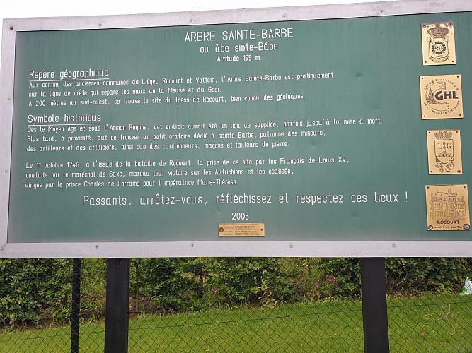L'Arbre Sainte Barbe
