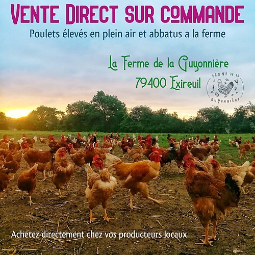 95264670_685072245591088_6657700441289129984_n