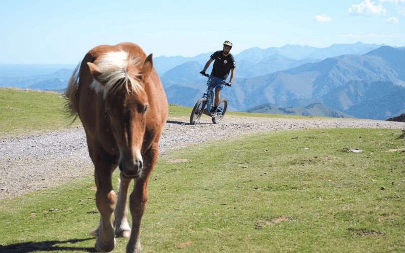 Trott'Iraty - Cheval - Soule