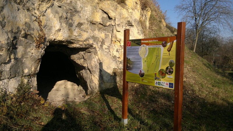 Montage MSP 2-Copyright NATAGORA - rvanherck