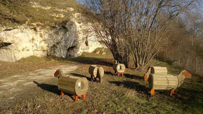 P11-Montagne St Pierre-moutons bois