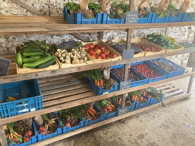 Les Jardins de Longpre - haricot