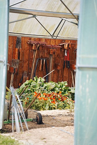 Les Jardins de Longpre - legume