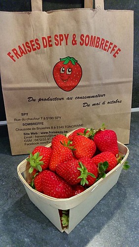 Fraises de Spy &amp; Sombreffe