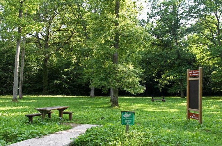 Staatswald von Villefermoy