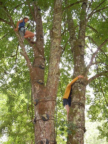 Escalad'arbre Escapade Nature Pays d'Argentat