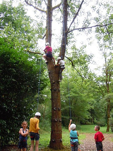 Escalad'arbre Escapade Nature Pays d'Argentat