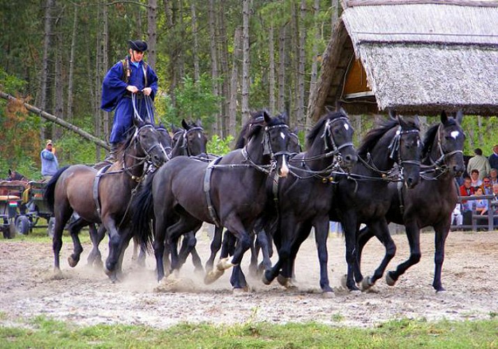 Excursion d'une journée dans la Puszta, Grande Plaine de Hongrie - déjeuner et transferts inclus