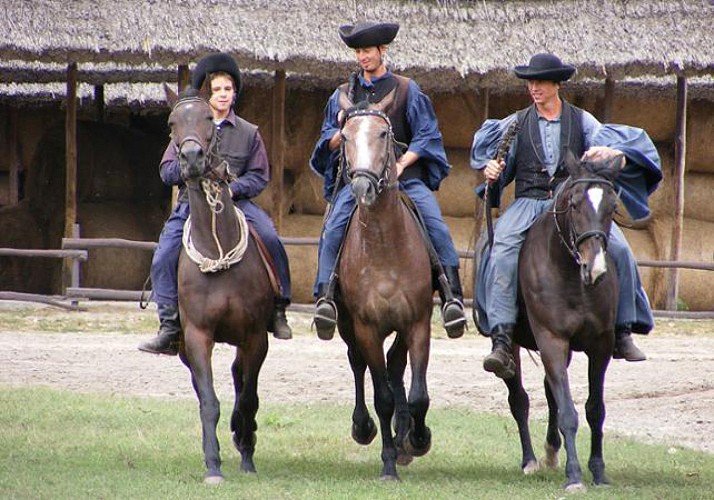 Excursion d'une journée dans la Puszta, Grande Plaine de Hongrie - déjeuner et transferts inclus
