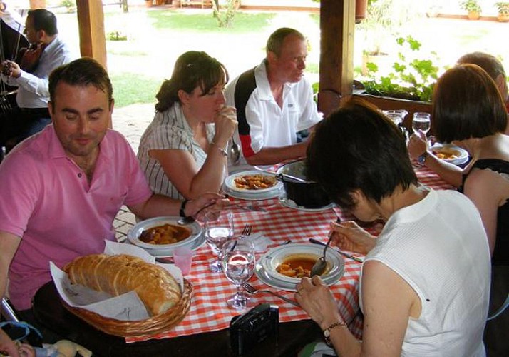 Excursion d'une journée dans la Puszta, Grande Plaine de Hongrie - déjeuner et transferts inclus