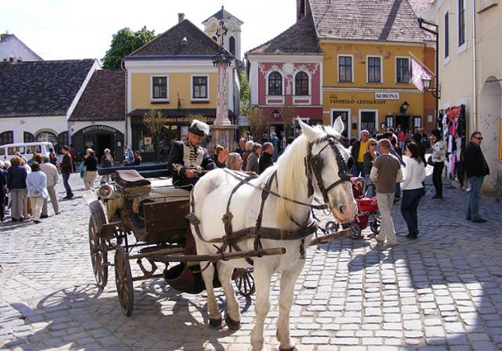 Excursion d'une demi-journée à Szentendre - Au départ de Budapest