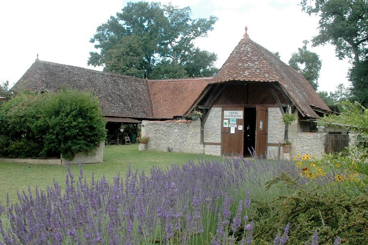 Producteur - Armagnac - Saint Justin - Chai de Soube