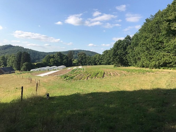 Les légumes de Legaud