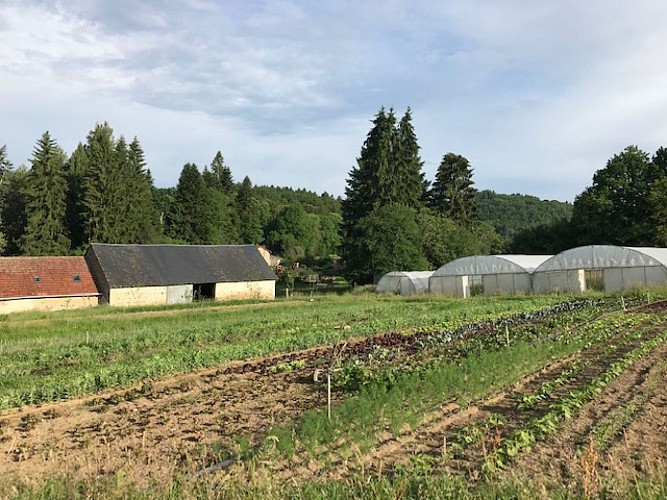 Les légumes de Legaud
