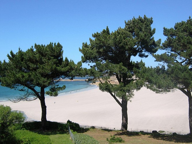 Le Turquoise