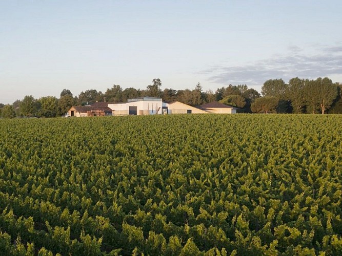 Château Landereau