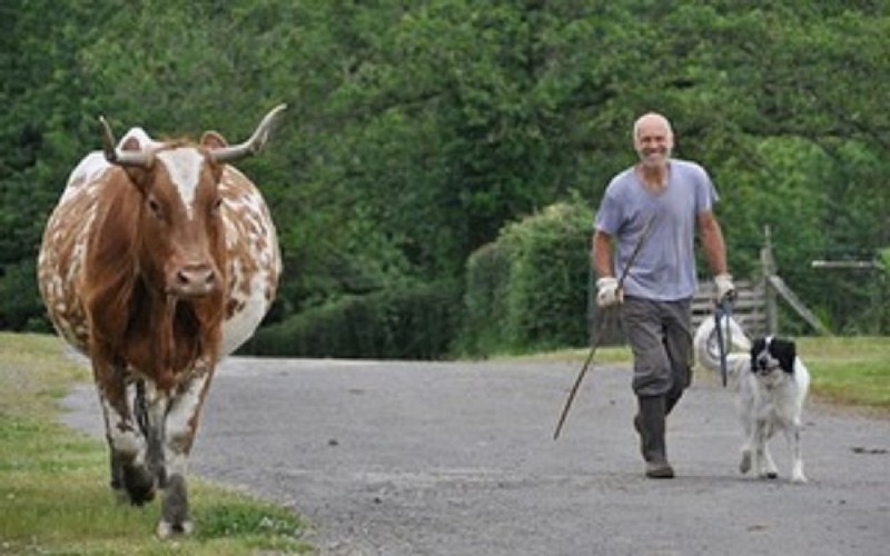 A la ferme aux cinq sens - Ferme traditionnelle