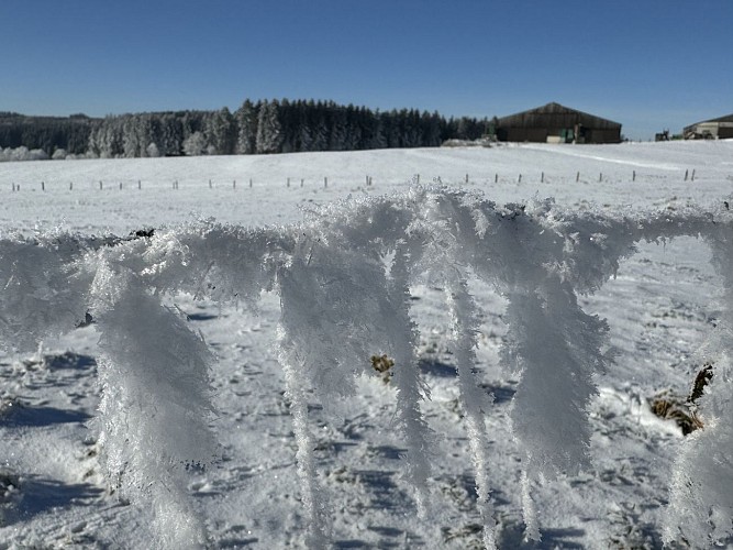 CircuitbatailledesardenneslibramontchevignyMTFSH_TEXTO_Pascal_Willems_-7