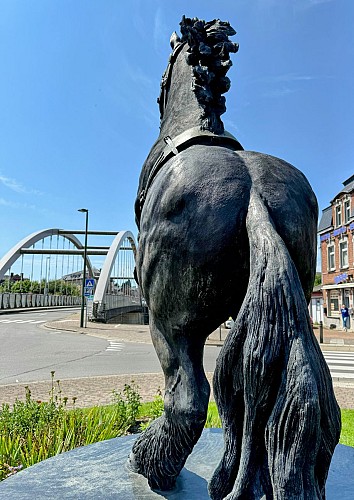 Promenade-citoyenne-libamont©MTFSH_TEXTO_Pascal_Willems_(75)