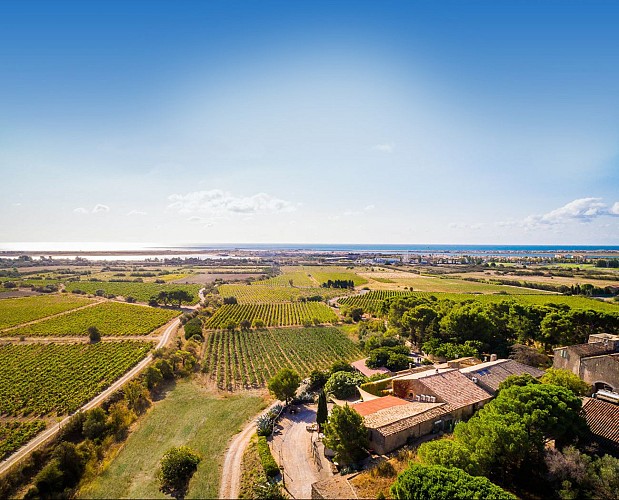 Château Le Bouis