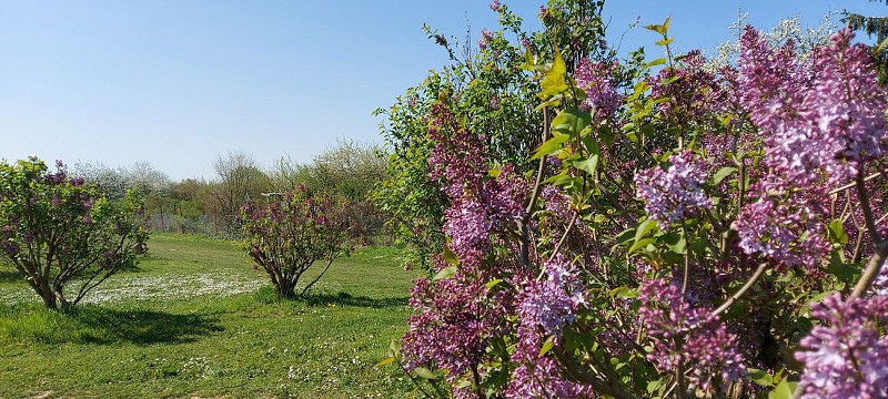 Journée portes ouvertes à la Pépinière du Val-de-Marne