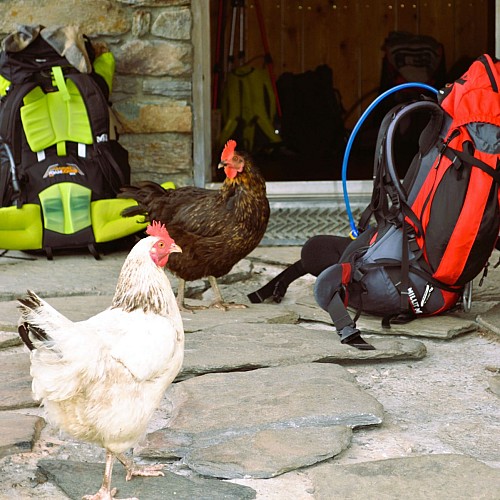 Rifugio "Les Marches"